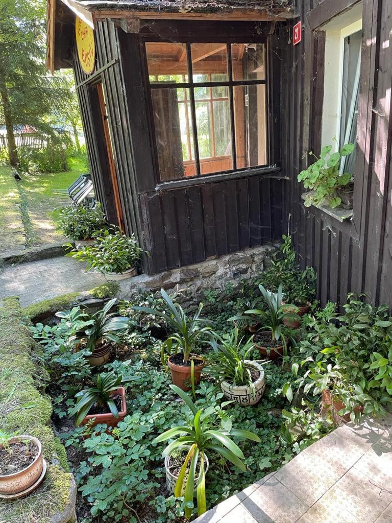 Busil V Pekelskem Udoli Villa Hartmanice  Exterior photo